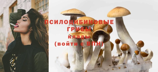 соль ск Наволоки