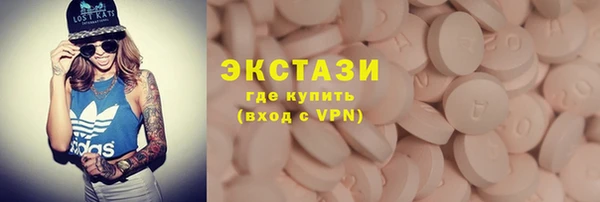 ECSTASY Ельня