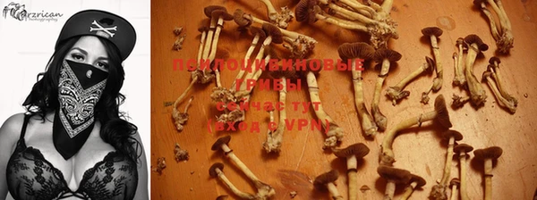 синтетический гашиш Надым