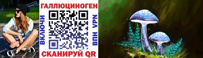 Галлюциногенные грибы Cubensis  Новая Ляля 