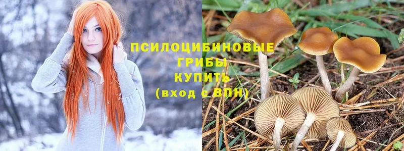 Галлюциногенные грибы MAGIC MUSHROOMS  наркотики  Новая Ляля 